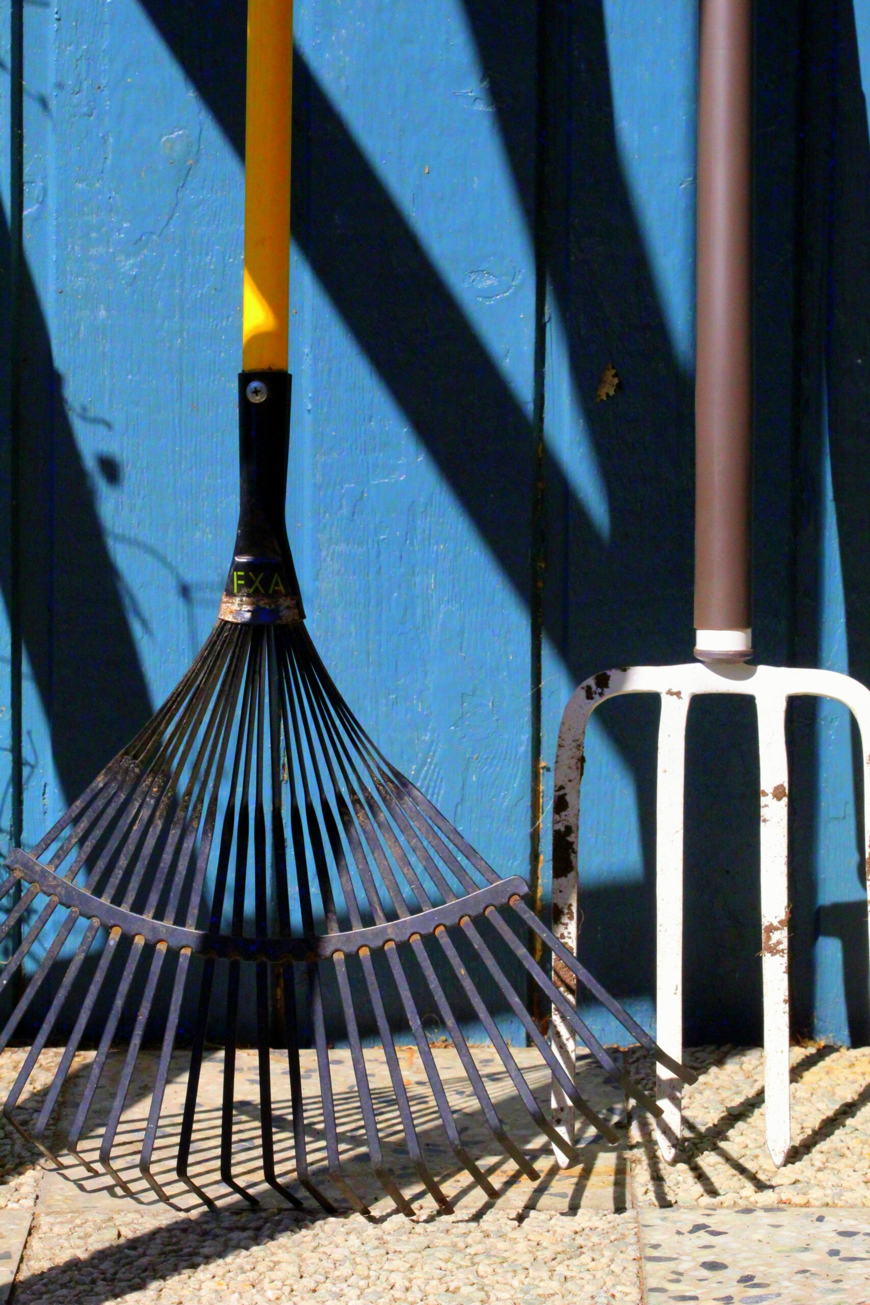 Close-up of sharp metal tines on a garden fork, ideal for breaking up compact soil.
