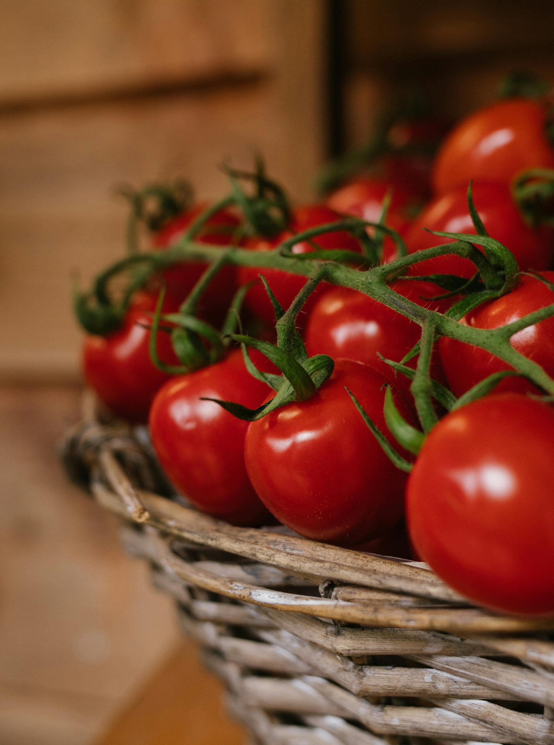 Healthy red,ripe tomatoes in a bucket.