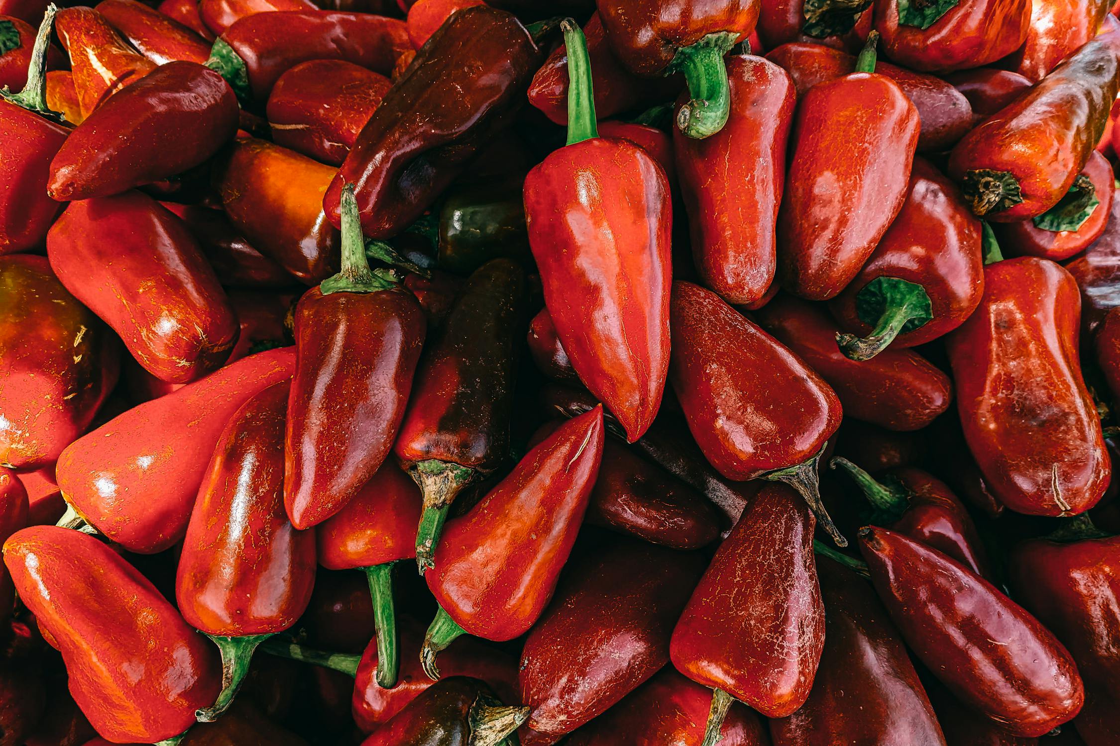 Corno di Toro peppers.