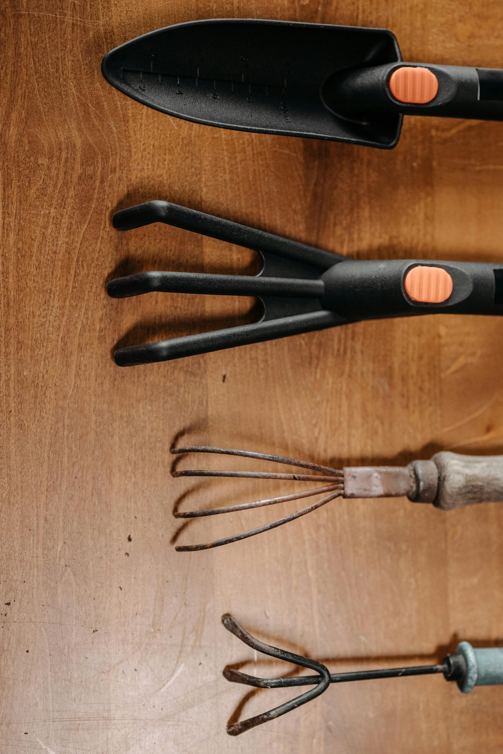 Different types of mini tools for pruning, cutting and maintenance .