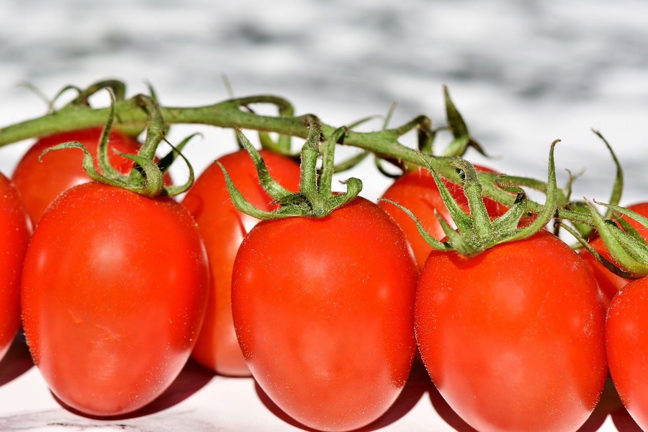 an image of fresh Roma tomatoes.
