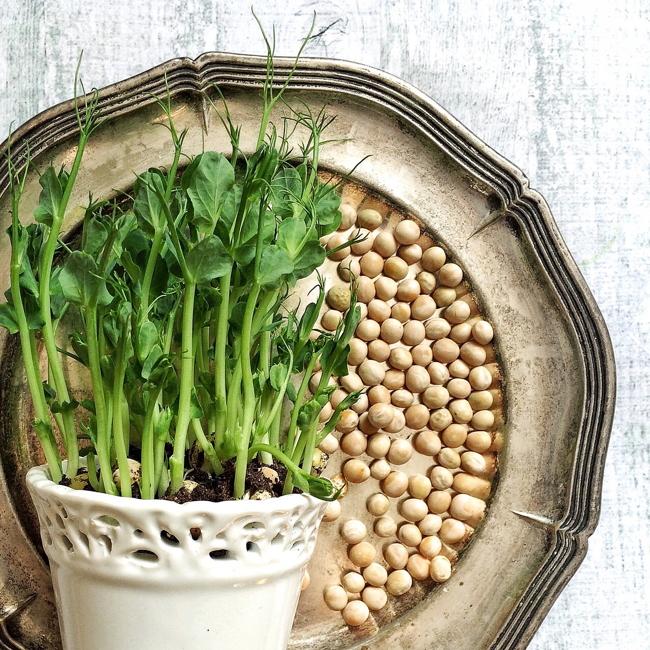 The Best Container Size for Growing Peas: A Complete Guide