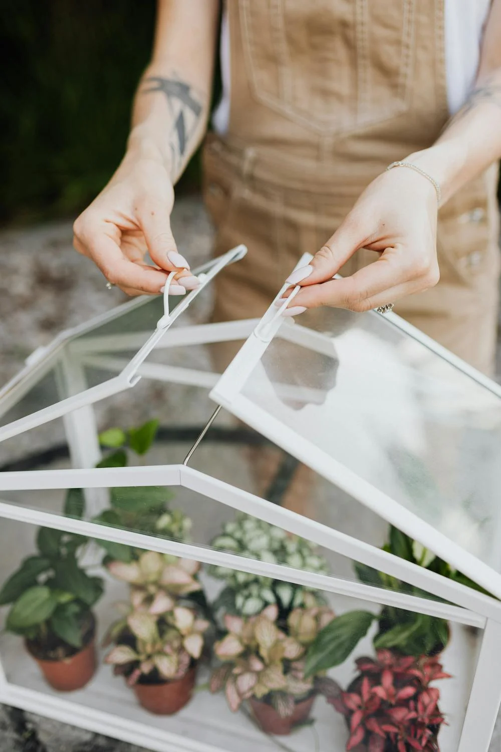 Build Your Own DIY Cold Frame Greenhouse for Year-Round Gardening.