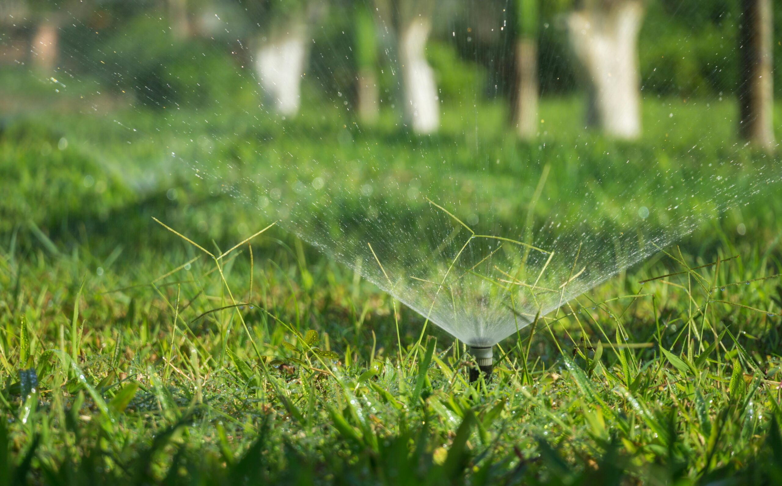 A garden sprinkler spraying water across a lush green lawn, with trees in the background.